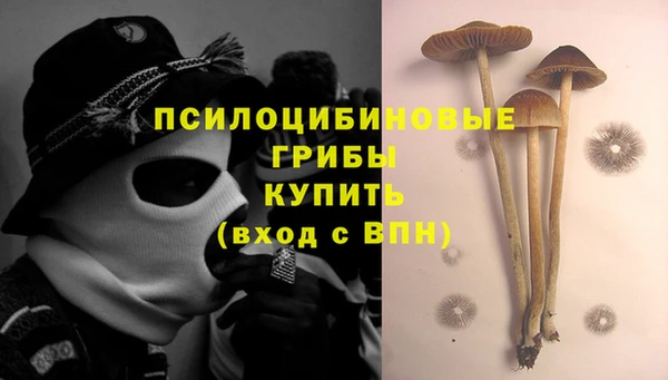 дмт Михайлов