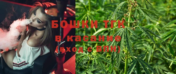 твердый Надым