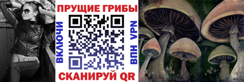 Галлюциногенные грибы ЛСД Лебедянь